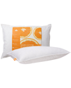Canadian Down & Feather Company White Goose Feather Pillow Medium Support In White
