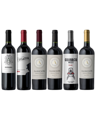 Splash Wines The Premium Reds Of Argentina: 6 Or 12 Bottles