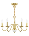 Livex Lighting Livex Windsor 5 Lt Polished Brass Chandelier