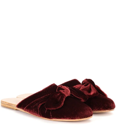 Ancient Greek Sandals Pasoumi Bow Velvet Slippers In Red