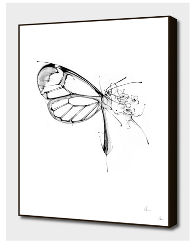 Curioos Butterfly Fuel