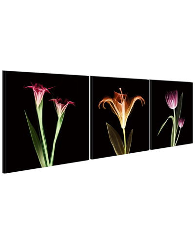 Chic Home Design Tropical 3pc Set Wrapped Canvas Wall Art