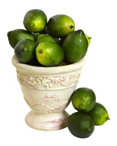 Nearly Natural Set Of 12 Faux Limes