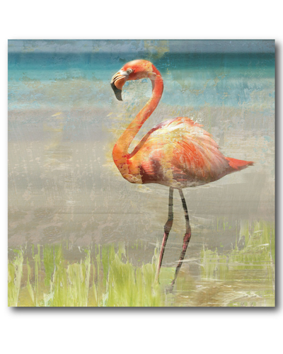 Courtside Market Wall Decor Flamingo Fancy Ii Art Print