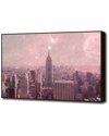 CURIOOS CURIOOS STARDUST COVERING NEW YORK BY BIANCA GREEN
