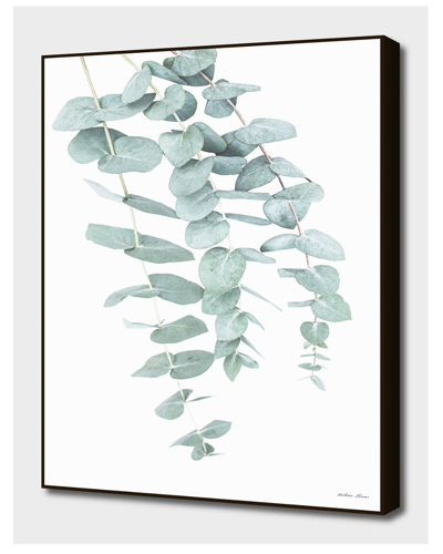 Curioos Eucalyptus Ii By Sisi & Seb