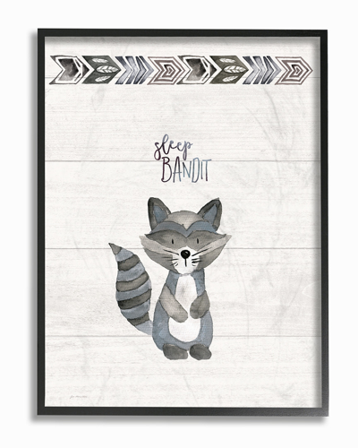 Stupell Sleep Bandit By Jo Moulton Framed Art