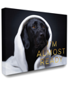 STUPELL STUPELL HOME DECOR I'M ALMOST READY LABRADOR