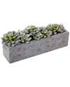 Nearly Natural Succulent Garden W/textured Concrete Planter
