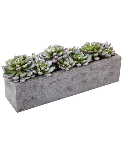 Nearly Natural Succulent Garden W/textured Concrete Planter In Green