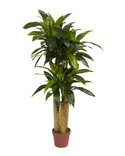 Nearly Natural Corn Stalk Dracaena Silk Plant