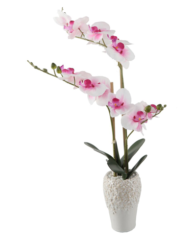 Flora Bunda 20in Real-touch Orchid In 5x8in Ceramic Vase In Pink
