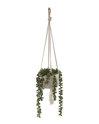 Flora Bunda String Of Pearls Macrame Hanging Ceramic Donkey Tails In White