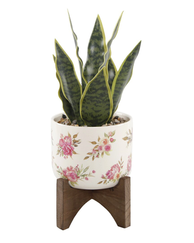 Flora Bunda 12in Snake Plant In Ceramic On Stand In Multi