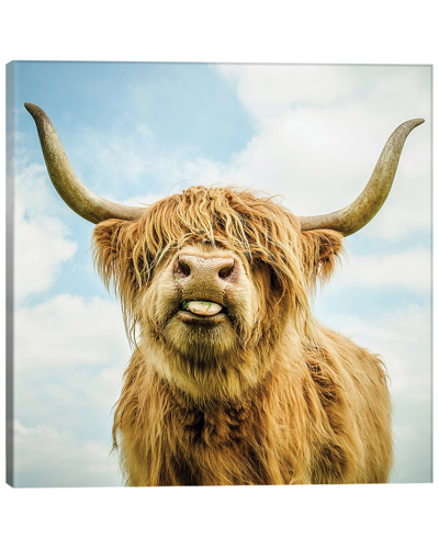 Icanvas Highland Cow By Mark Gemmell Wall Art