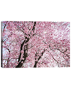 Icanvas Cherry Blossom By Stefan Hefele Wall Art