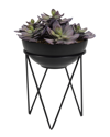 D&W SILKS D&W SILKS FROSTED PINK ECHEVERIA IN BLACK RESIN BOWL WITH METAL STAND