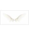 Marmont Hill White Wings Painting Print