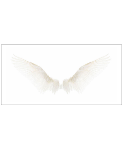 Marmont Hill White Wings Painting Print