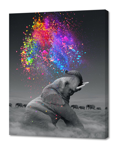 Curioos True Colors Within Wall Art