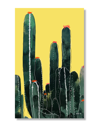 Curioos Cactus By Ummuhan Turk