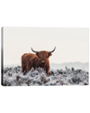 Icanvas Highlander By Jaap Van Den Wall Art