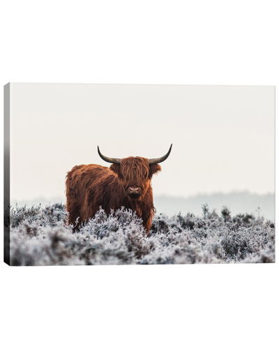 Icanvas Highlander By Jaap Van Den Wall Art
