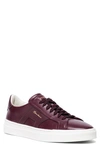 Santoni Double Buckle Inspired Sneaker In Burgundy