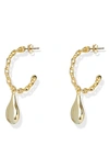 Argento Vivo Chain Link Teardrop Hoop Earrings In Gold
