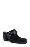 Zigi Alieh Rhinestone Mule In Black Suede