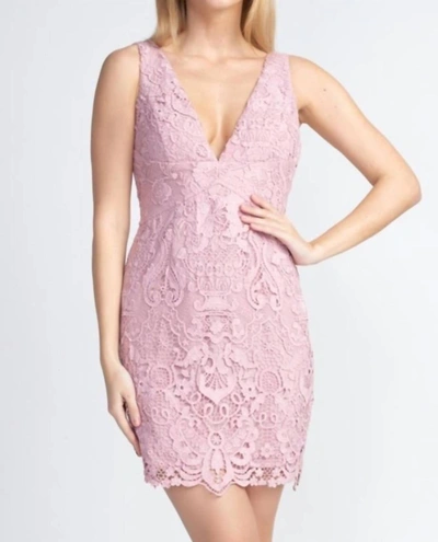 Minuet Lace Mini Dress In Pink