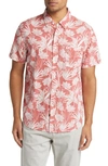 Rails Carson Shirt In Jungle Foliage Red