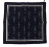 Dolce & Gabbana Blue Seahorse Dg Printed Square Handkerchief Scarf In Blue