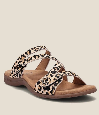 Taos Double U Strap Sandal In Tan Leopard In Multi