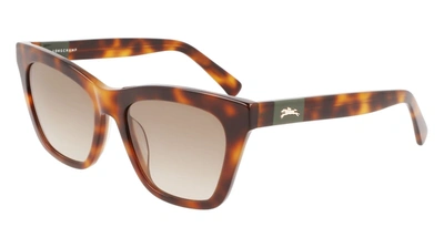 Longchamp Women's Lo715s-230 Fashion 54mm Havana Sunglasses In Brown