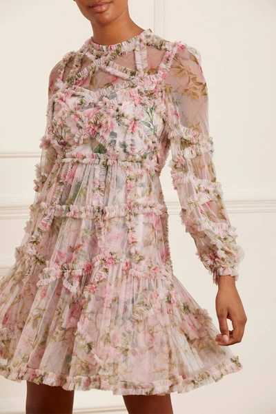 Needle & Thread English Rose Diamond Ruffle Mini Dress In Pink