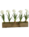 D&w Silks Paper Whites In Rectangle Wooden Planter