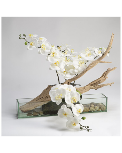 D&w Silks Inc White Phael Orchids With Ghostwood In Rectangle Aquarium Glass