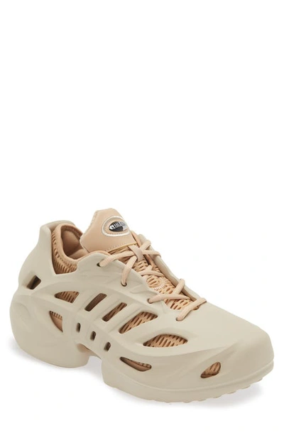 Adidas Originals Mens  Adifom Climacool In Beige