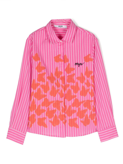 Msgm Kids' Butterfly Long-sleeve Shirt In Pink