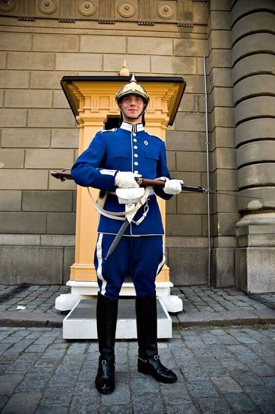 Pre-owned 100% Swedish Royal Guard In Traditional Uniform Men's Blue Wool Jacket And Trouser In Brown