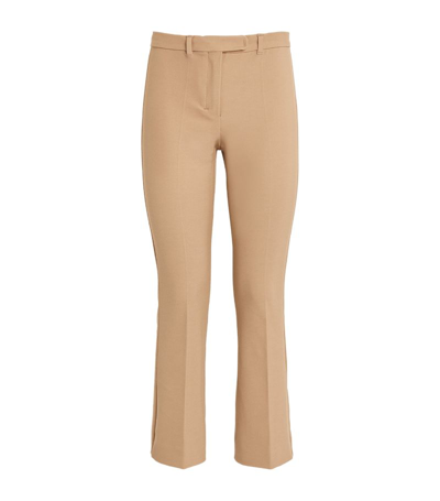 Max Mara Tailored Trousers In Hazelnut Brown