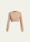 Dolce & Gabbana Cashmere And Wool Cropped Knit Crewneck In Brown
