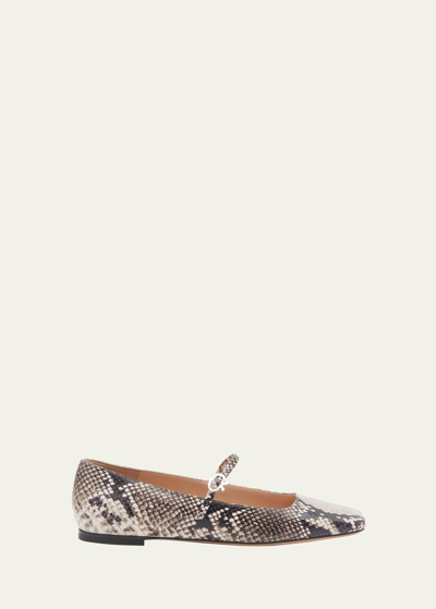 Gianvito Rossi Snake-embossed Mary Jane Ballerina Flats In Rock