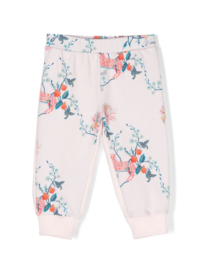 Roberto Cavalli Junior Babies' Floral-print Track Pants In 02815