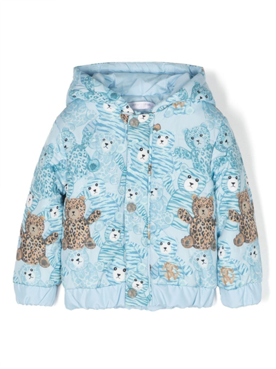 Roberto Cavalli Junior Babies' Teddy Bear-print Padded Jacket In Blue