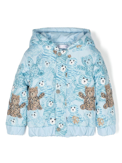 Roberto Cavalli Babies' Teddy Bear-print Padded Jacket In Blue