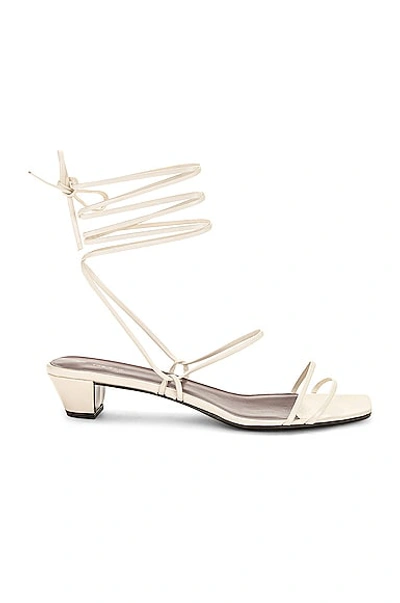 The Row Graphic Strap Kitten In Ivory