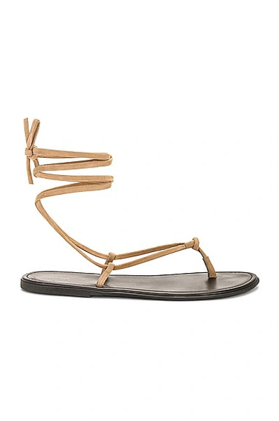 The Row Knot Flat Sandal In Beige