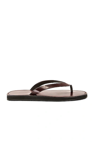 The Row City Leather Flip Flops In Bordeaux